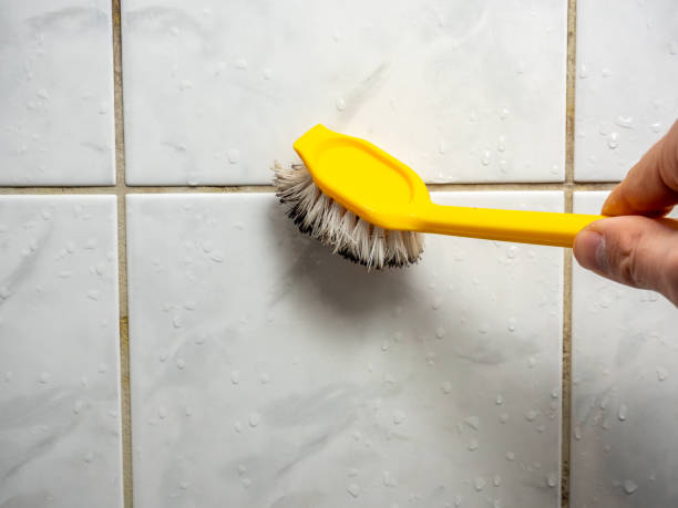 Mold Testing and Removal in Laguna Beach, FL