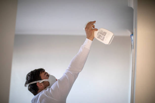 Best Attic Mold Removal  in Laguna Beach, FL
